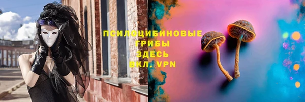 прущий лед Алексин